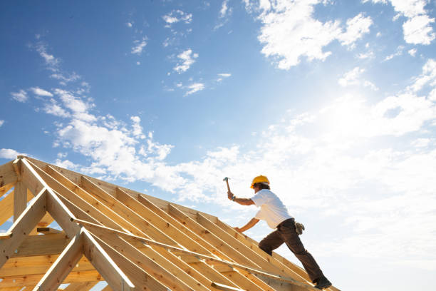 Best Roof Maintenance and Cleaning  in , CO